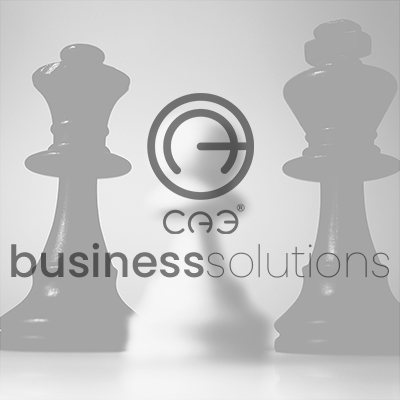 Image for CAE Business Solutions LTD with ID of: 3049179
