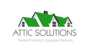 Image for Attic Solutions with ID of: 3049557