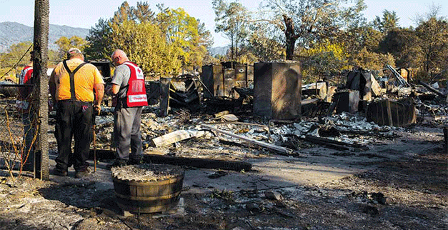 Image for PALS Public Adjusters with ID of: 3049829