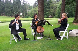 Image for Windstrings with ID of: 3050389