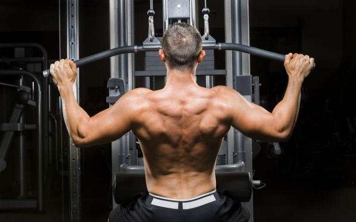 Image for Best Exercises to Build Your Back Muscles - Endura Gym Supplements with ID of: 3050612