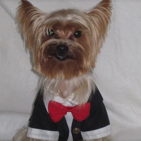 Image for Woodbine Hill Kennel with ID of: 3051028