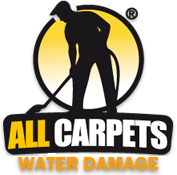 Image for allcarpetswaterdamage with ID of: 3051707