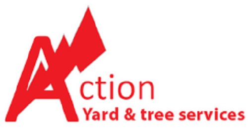 Image for Action Yard And Tree with ID of: 3056438