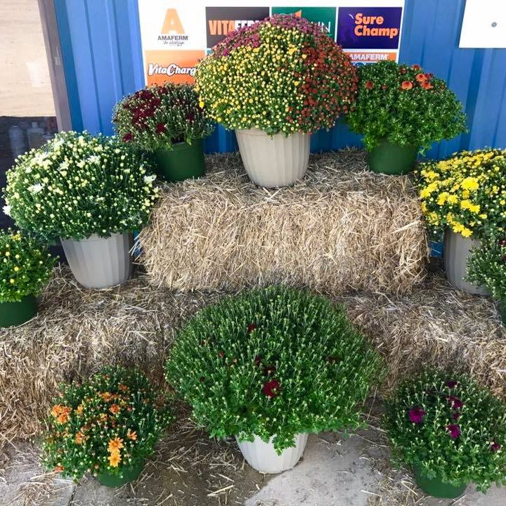 Image for Roland Feed & Farm with ID of: 3056898