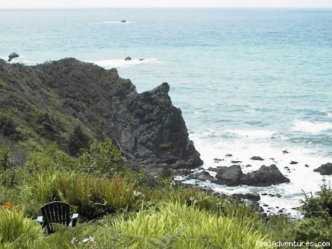 Image for Abalone Cove with ID of: 305697