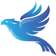 Image for Denver SEO Service with ID of: 3058839