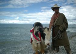 Image for Customized Tibet Tours & Group Tours with ID of: 3059401