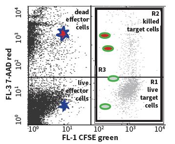 Image for Cell-Based ELISA Assay with ID of: 3060275