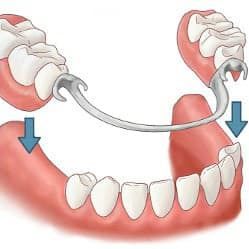 Image for Dixie Dental Laboratory with ID of: 3060277