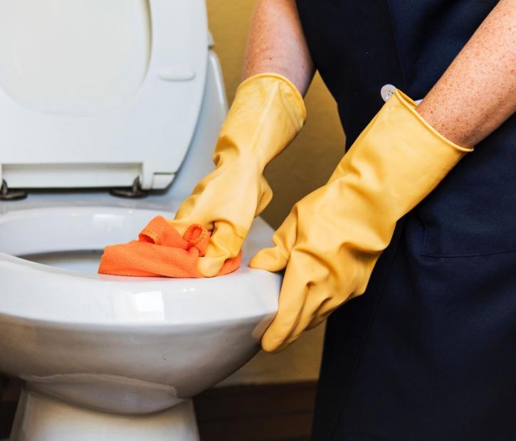 Image for Toadl'y Cleaning St George with ID of: 3061252