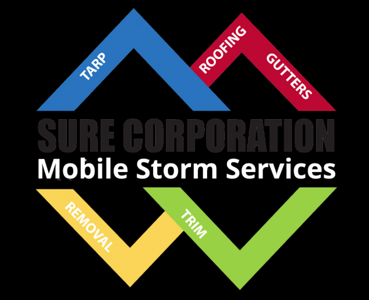 Image for Sure Corporation, Inc with ID of: 3061497