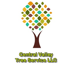 Image for Central Valley Tree Service LLC with ID of: 3062066