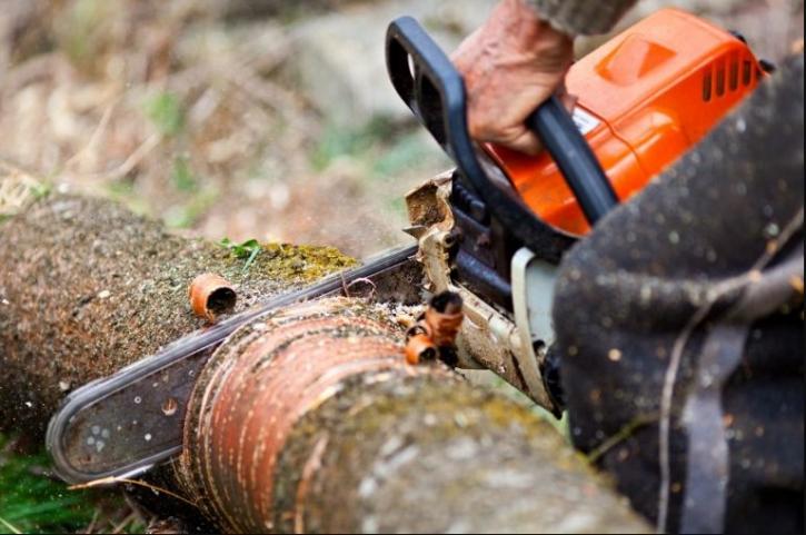 Image for Woodchuck Tree Service with ID of: 3062419