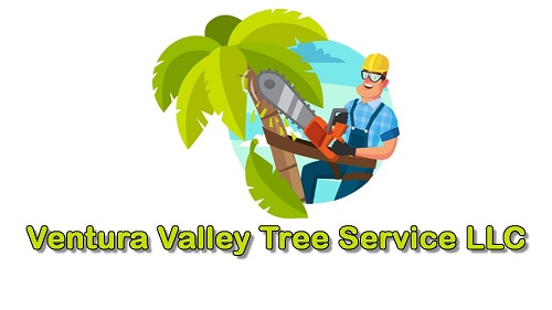 Image for Ventura Valley Tree Service LLC with ID of: 3063137