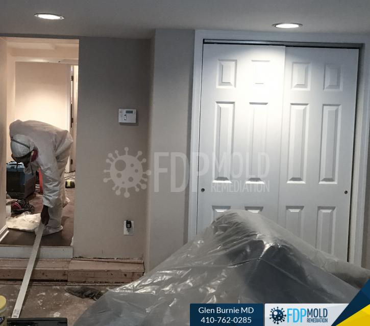 Image for FDP Mold Remediation with ID of: 3063455