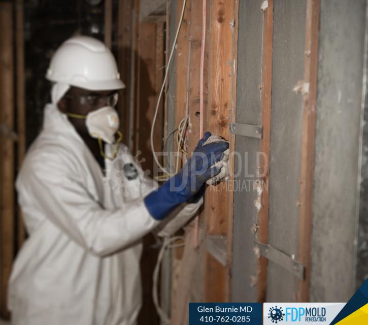 Image for FDP Mold Remediation with ID of: 3063456
