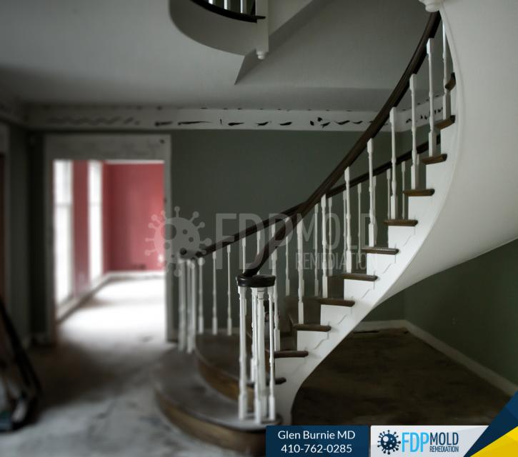 Image for FDP Mold Remediation with ID of: 3063457