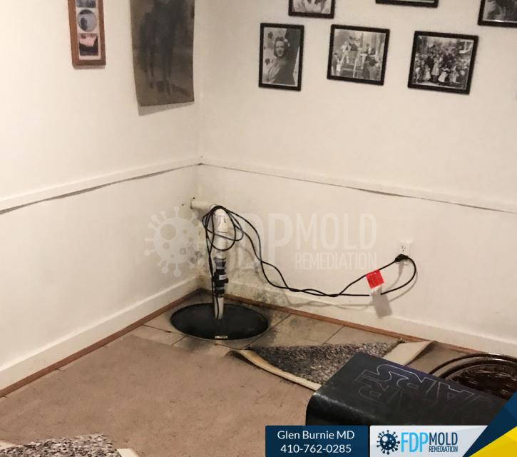 Image for FDP Mold Remediation with ID of: 3063467