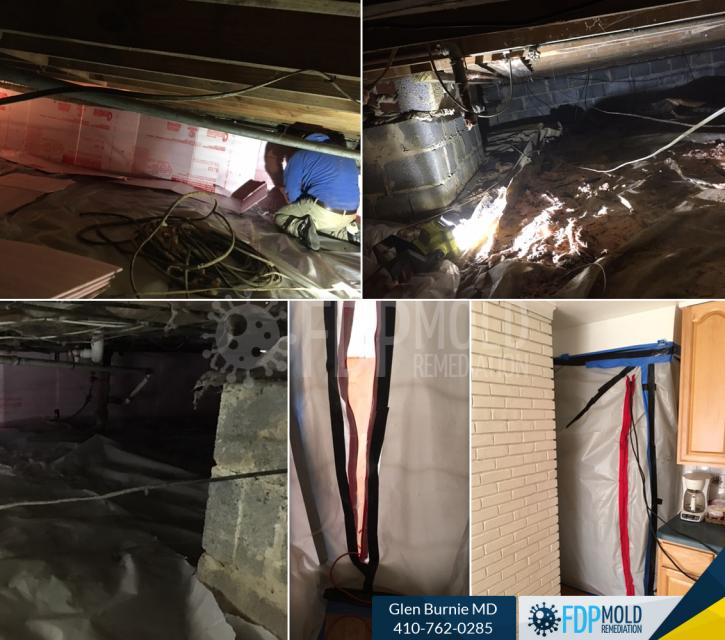 Image for FDP Mold Remediation with ID of: 3063470