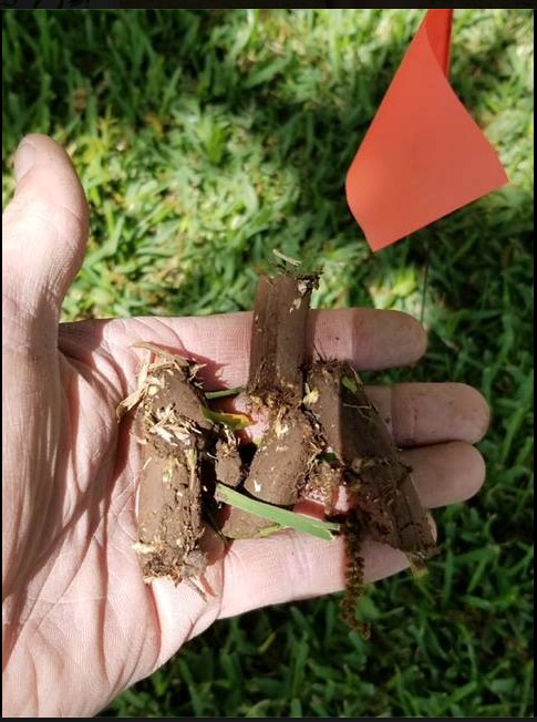 Image for Nature's Own Pest Control with ID of: 3063880