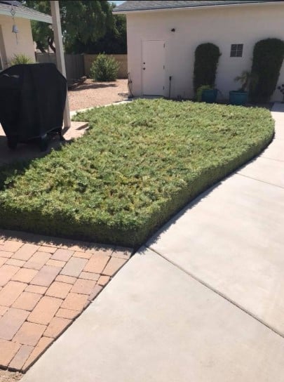 Image for PGF Landscaping with ID of: 3066221