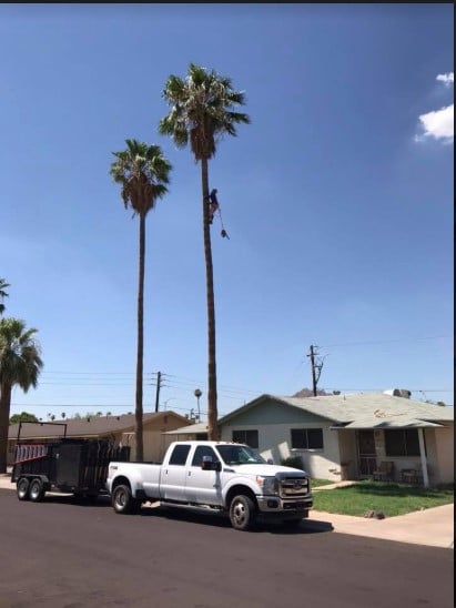 Image for PGF Landscaping with ID of: 3066223