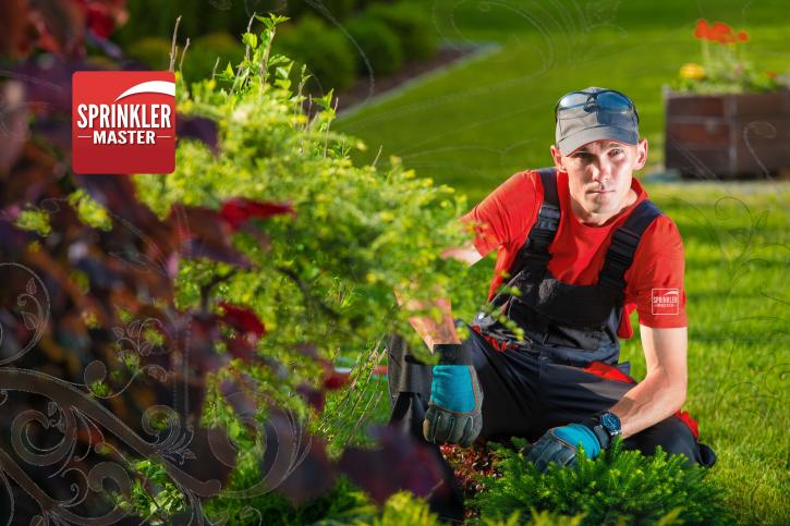 Image for Sprinkler Master Repair Ankeny, IA with ID of: 3066812