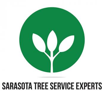 Image for Sarasota Tree Service Experts with ID of: 3067827