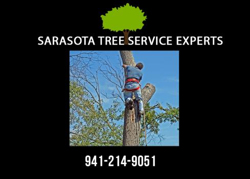 Image for Sarasota Tree Service Experts with ID of: 3067835