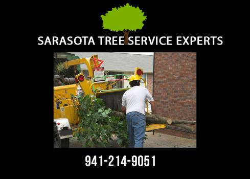 Image for Sarasota Tree Service Experts with ID of: 3067836