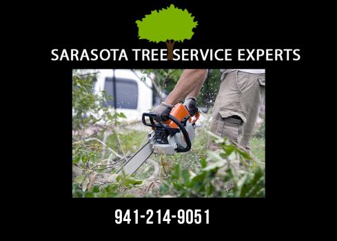 Image for Sarasota Tree Service Experts with ID of: 3067837
