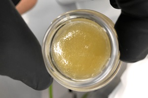 Image for Northeast Alternatives: Marijuana Dispensary with ID of: 3070223