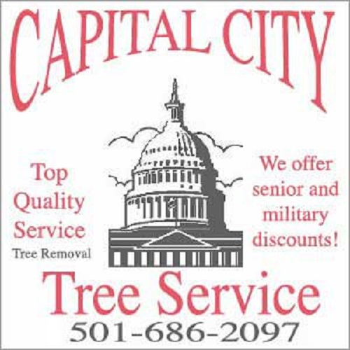 Image for Capital City Tree Service with ID of: 3071201