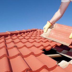 Image for Southeast General Contractors Group with ID of: 3072306