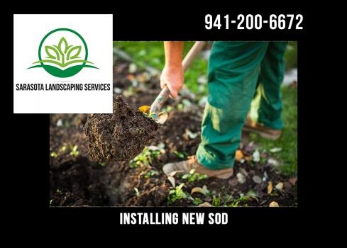 Image for Sarasota Landscaping Services with ID of: 3073763