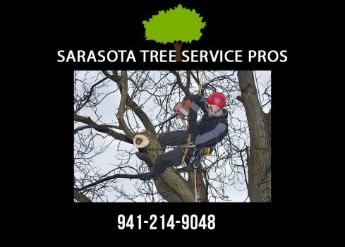 Image for Sarasota Tree Service Pros with ID of: 3073961