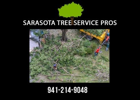 Image for Sarasota Tree Service Pros with ID of: 3073971