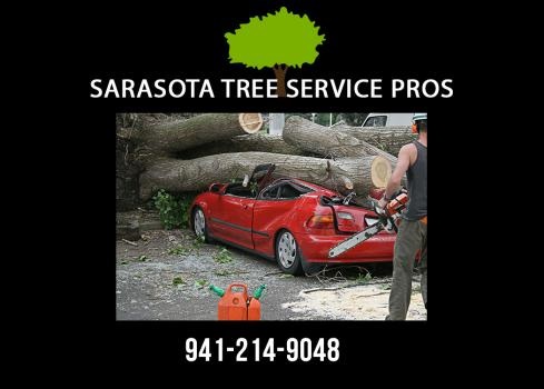 Image for Sarasota Tree Service Pros with ID of: 3073972