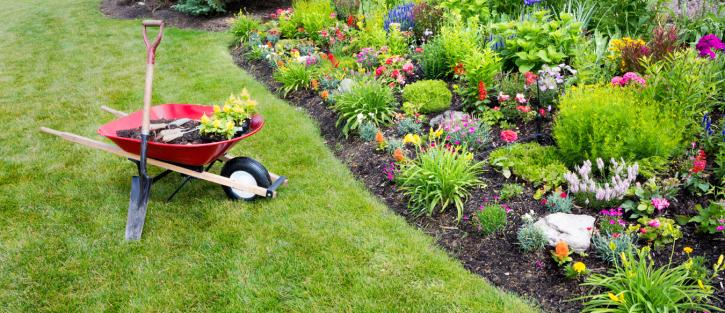 Image for P&A Garden Maintenance with ID of: 3074297