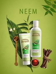 Image for Select the Best Hair Shampoo with ID of: 3074374