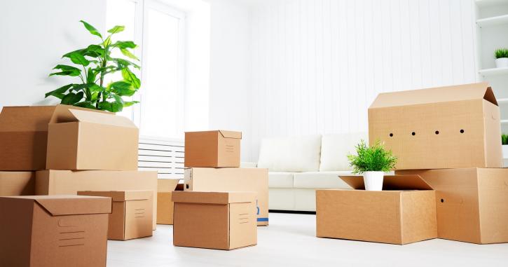 Image for DeVries Moving & Storage Solutions with ID of: 3075288