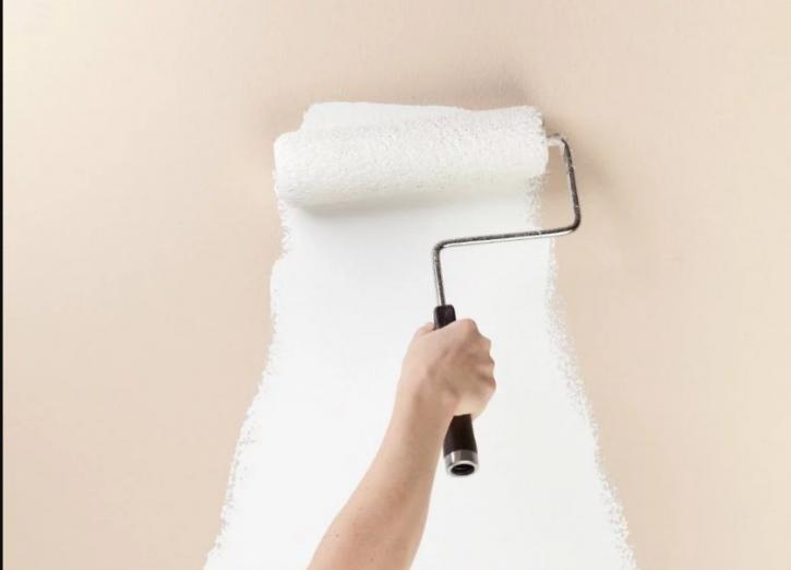 Image for Mold Killing Primer Winnipeg with ID of: 3075410