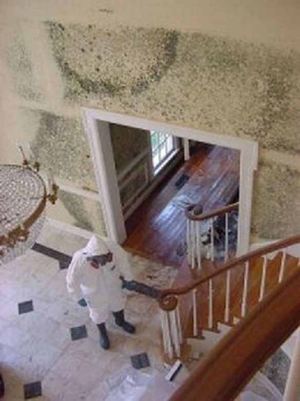 Image for Fire Damage Restoration Inc with ID of: 3076096