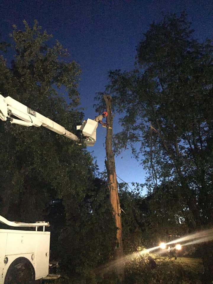Image for Mel's Firewood & Tree Service with ID of: 3076113