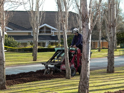 Image for Canopy Tree Services Sydney with ID of: 3076959