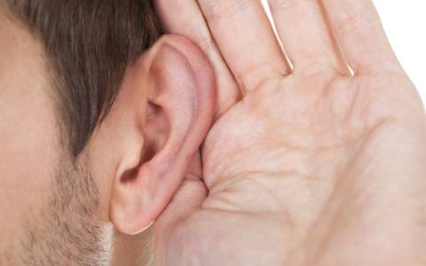 Image for The Hearing Group with ID of: 3076981