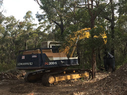 Image for Canopy Tree Services Southern Highlands with ID of: 3077082