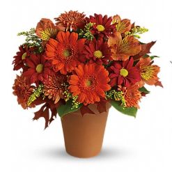 Image for Rainbow Flowers with ID of: 3077428