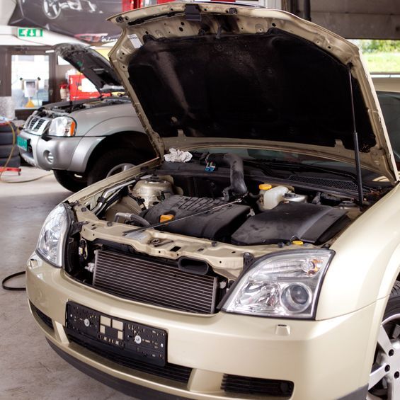 Image for Bray Auto with ID of: 3078419